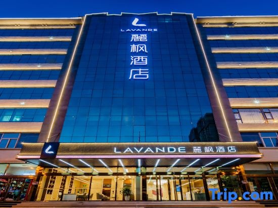Lavande Hotel(Double Pagoda Temple North Qi Mural Museum shop)