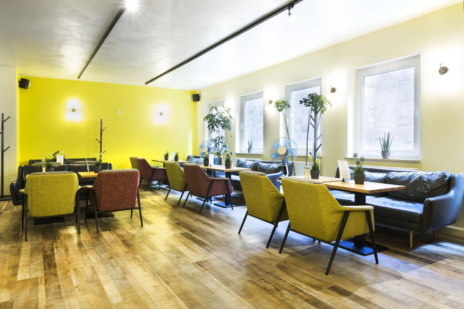 Photo - Five Reasons Hostel & Hotel