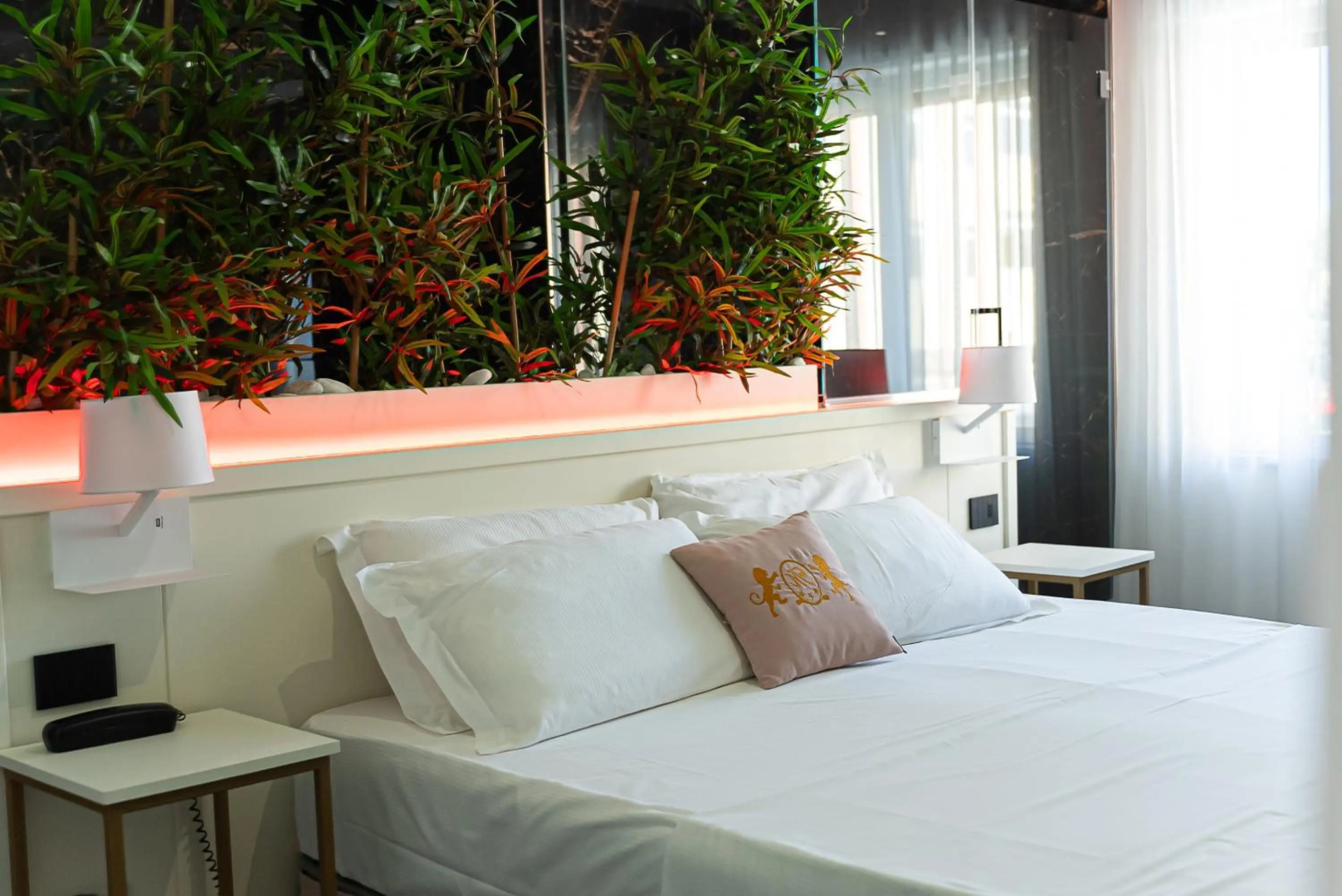 Foto - Hotel Max