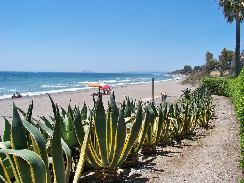 Foto - Mare Estepona Hotel
