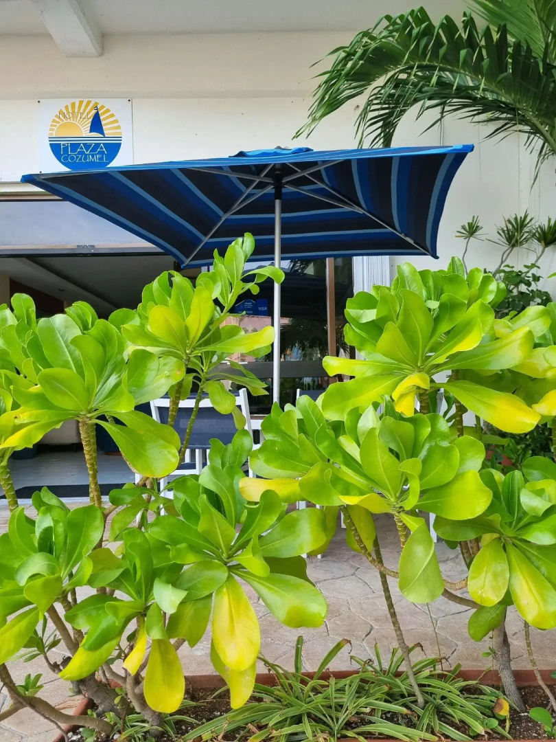 Photo - Hotel Plaza Cozumel