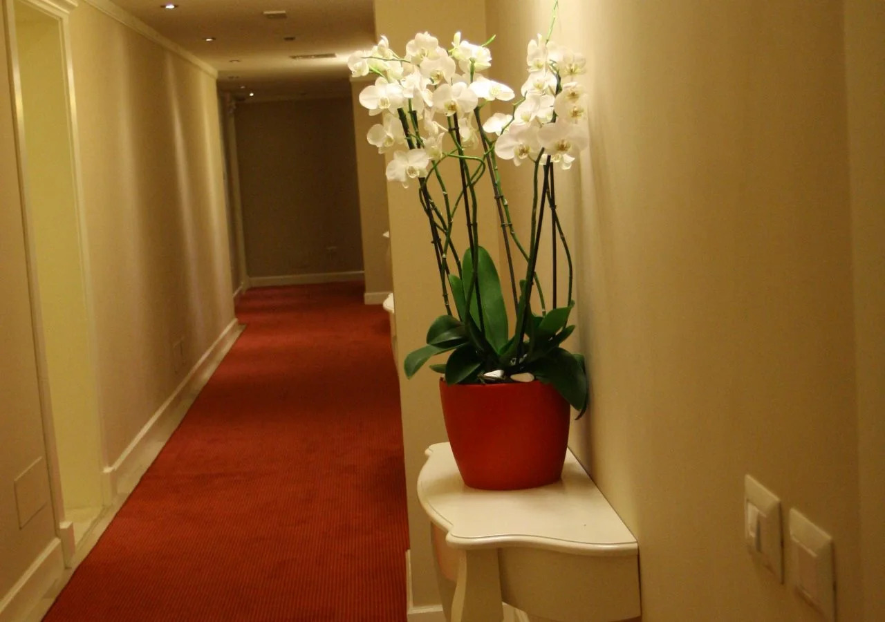 Foto - Palace Hotel & SPA