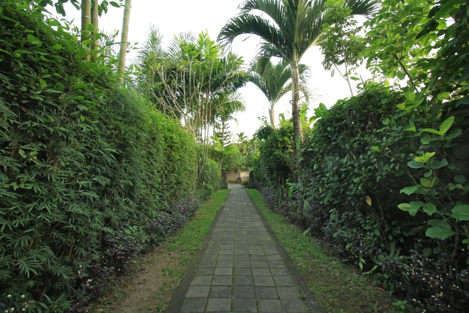 Photo - Nara Ubud Cottage by Mahaputra
