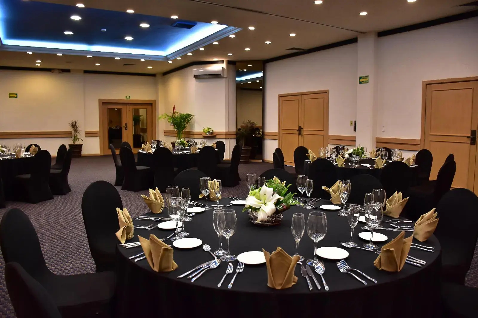 Photo - Hotel Guadalajara Plaza Ejecutivo