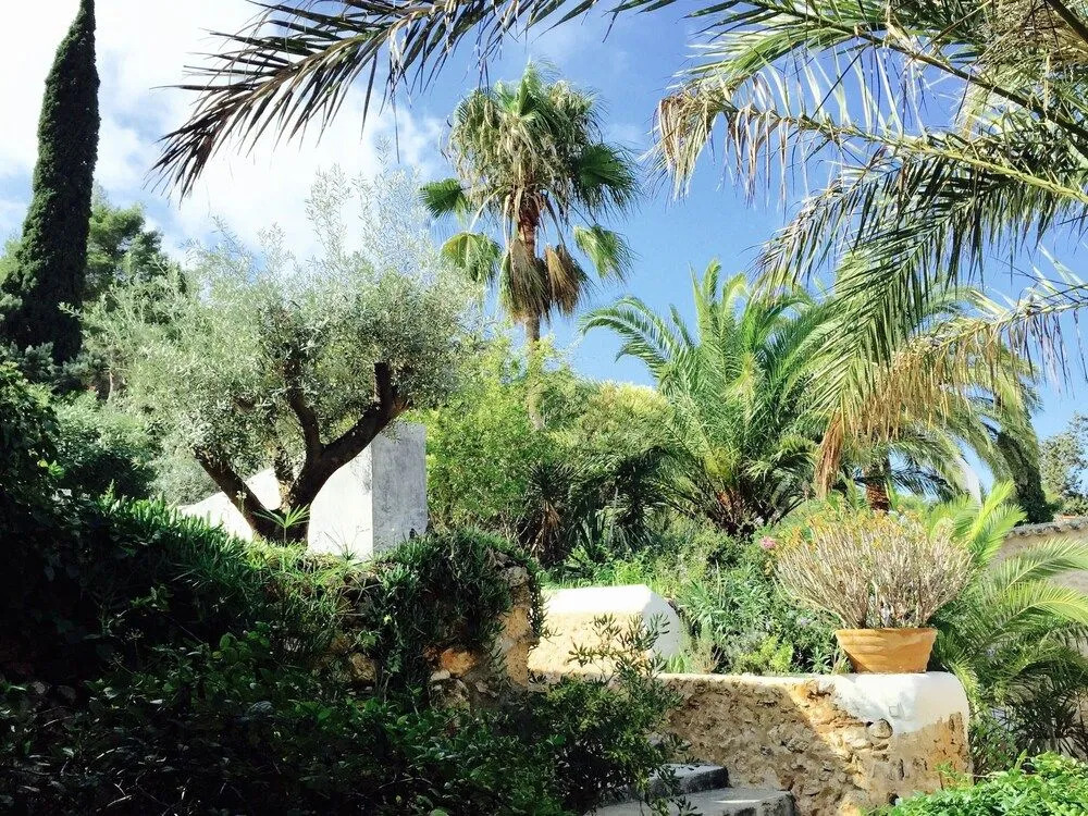 Foto - Boutique Hotel Jardines de Palerm