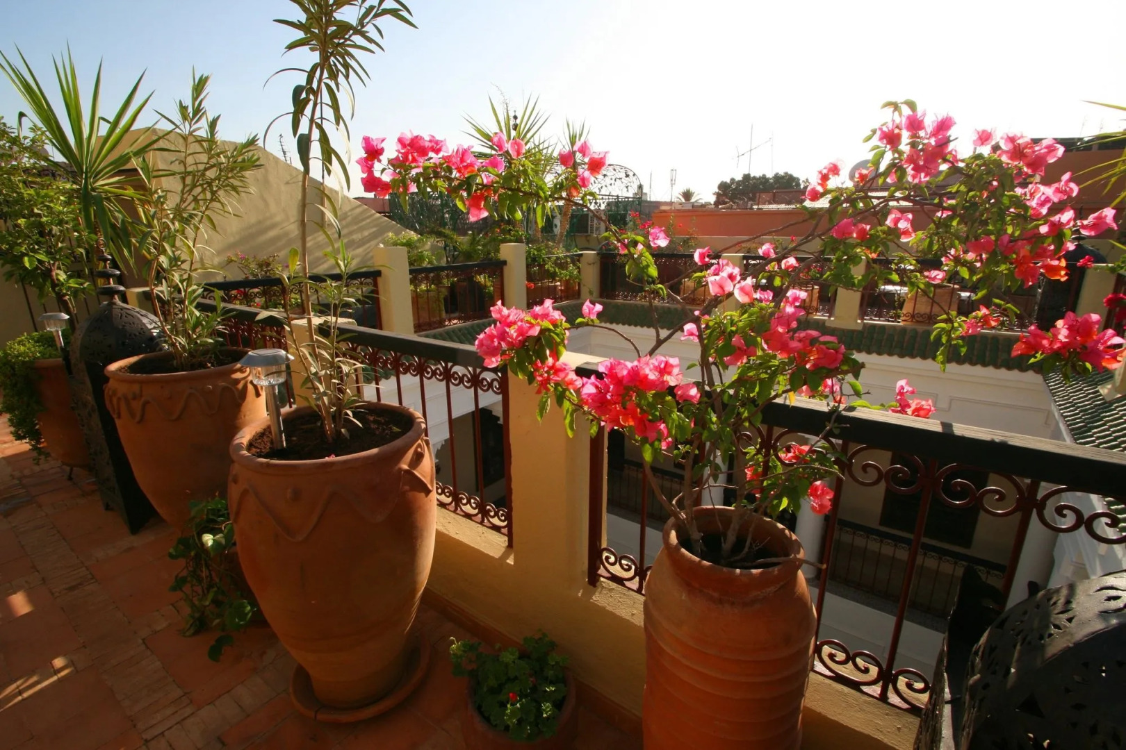 Photo - Riad Africa - Marrakech Medina Maison d'Hote