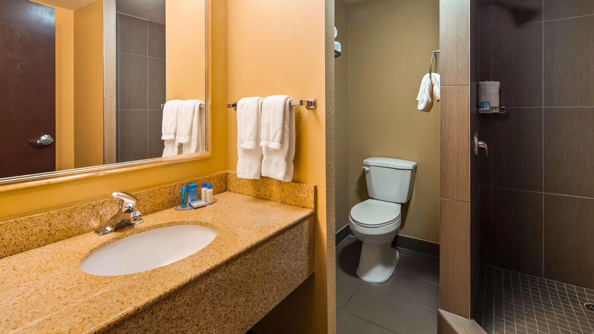 Foto - Best Western Plus Atlanta Airport-East