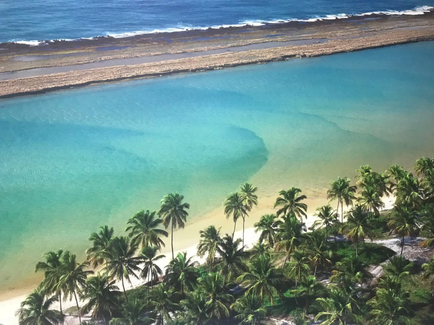 Photo - Samoa Beach Resort
