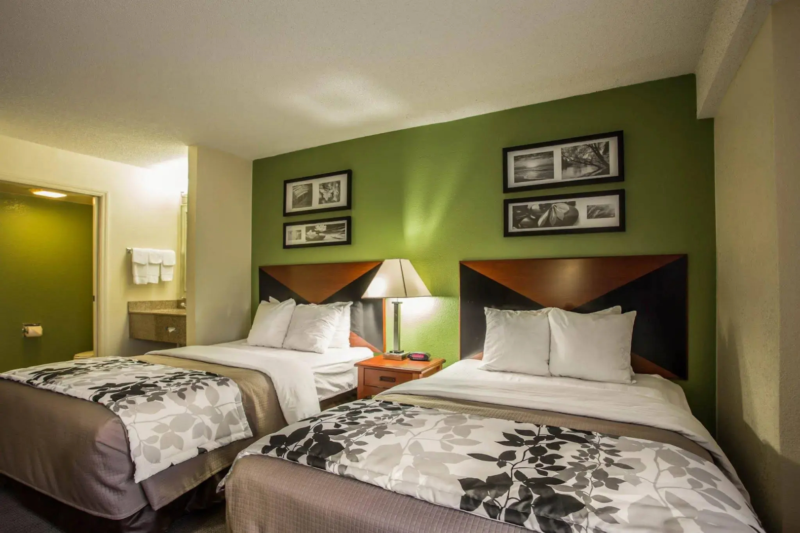 Photo - Sleep Inn Northlake