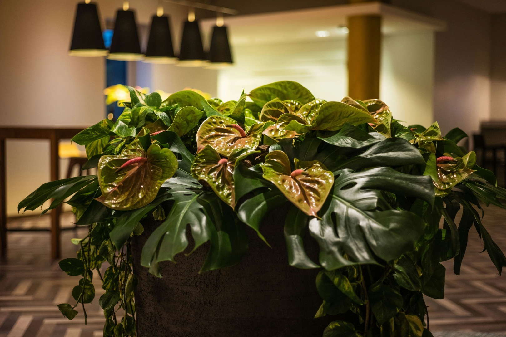 Foto - Sheraton Duesseldorf Airport Hotel