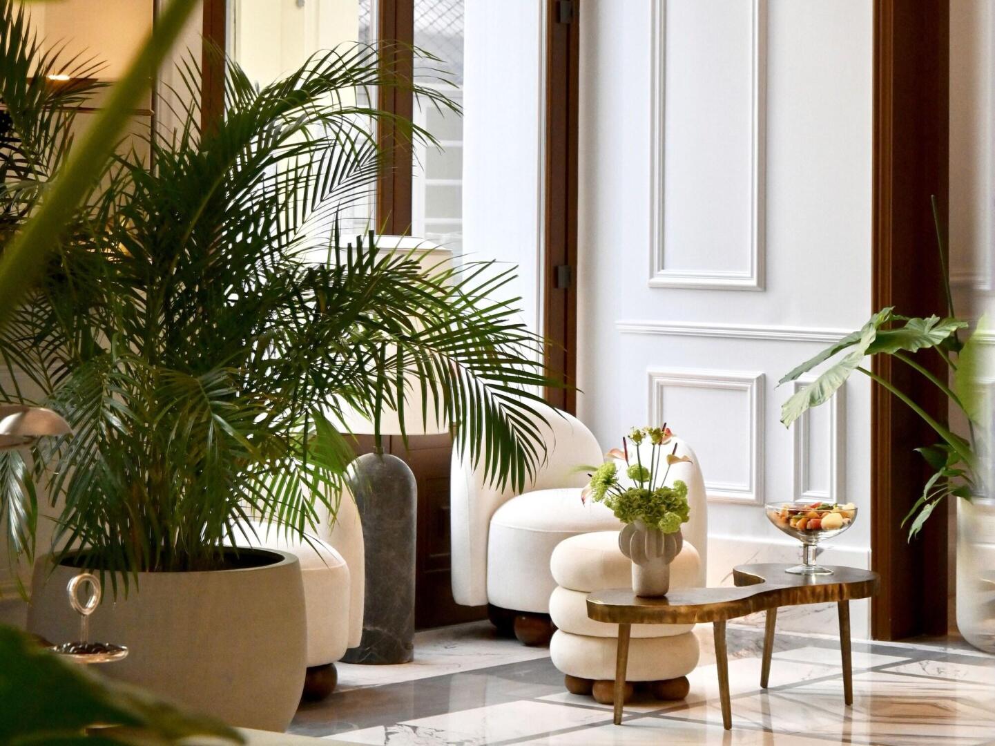 Foto - The Dolli at Acropolis, A Hotel to Live