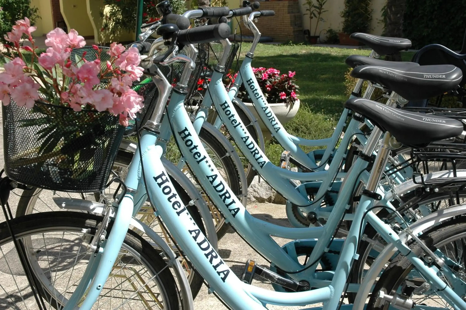 Foto - Hotel Adria