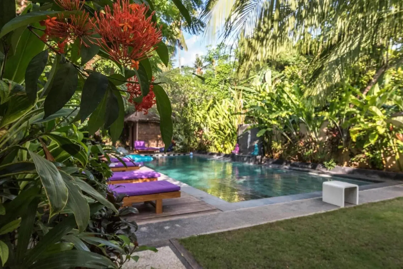 Photo - Arjuna Homestay