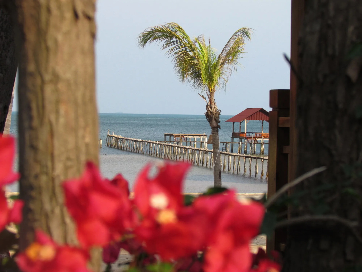 Foto - Mango Beach Resort