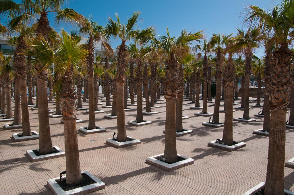 Foto - BLUESEA Costa Bastian