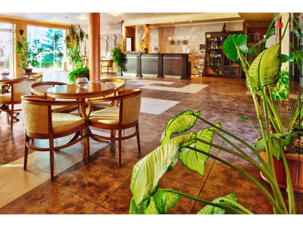 Photo - Hotel Forum