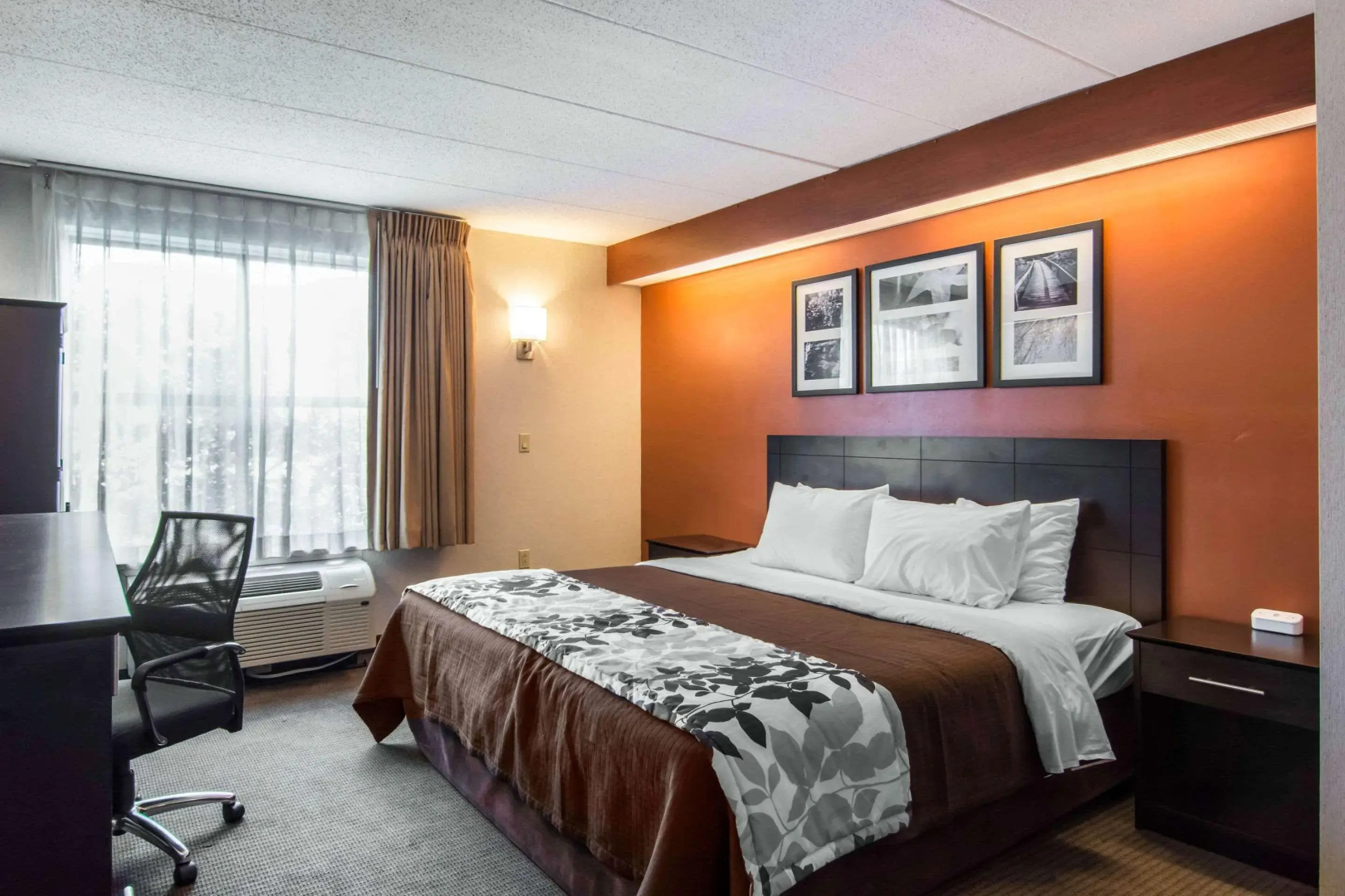 Foto - Sleep Inn Lake Wright - Norfolk Airport