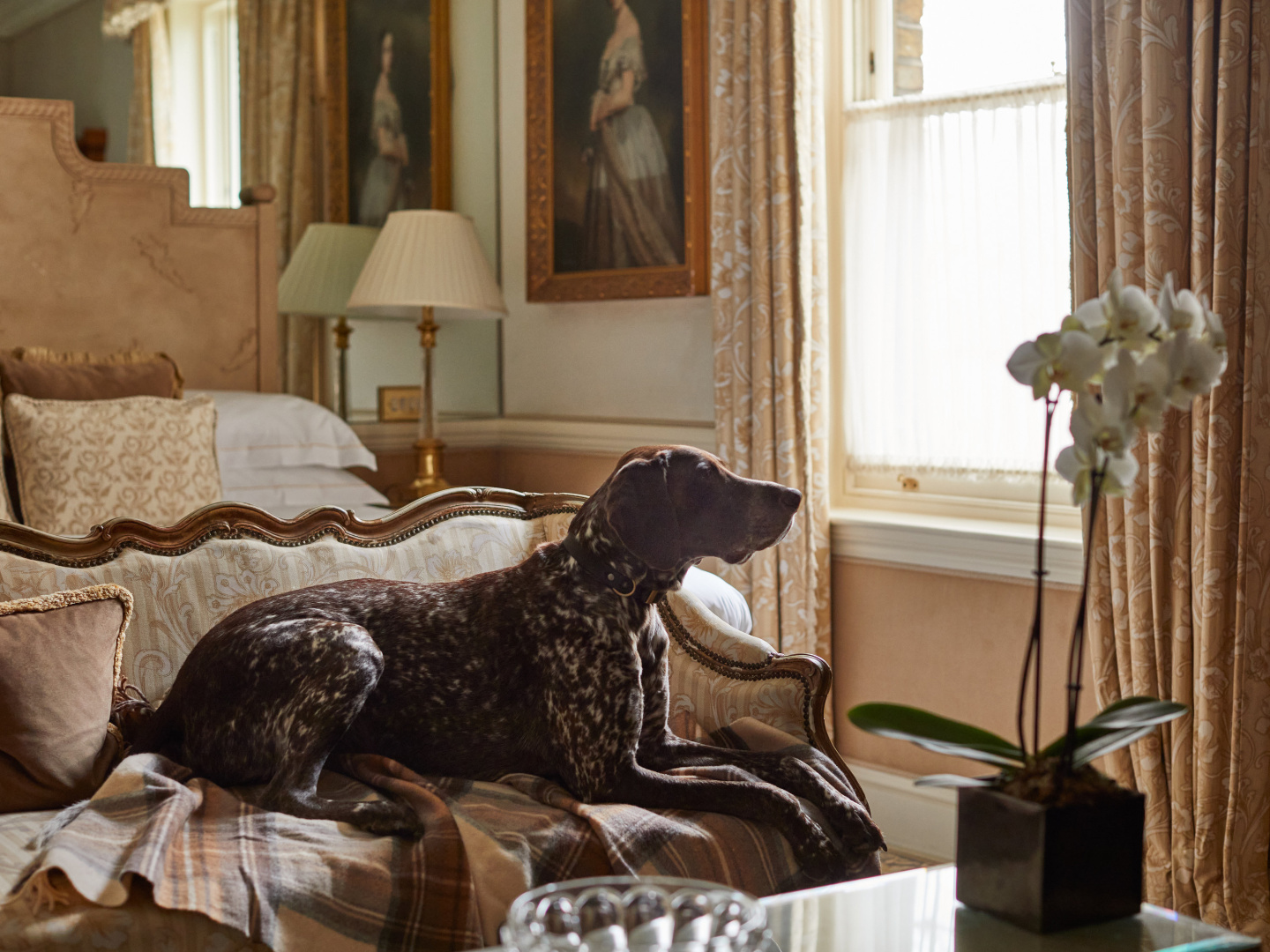 Photo - The Egerton House Hotel