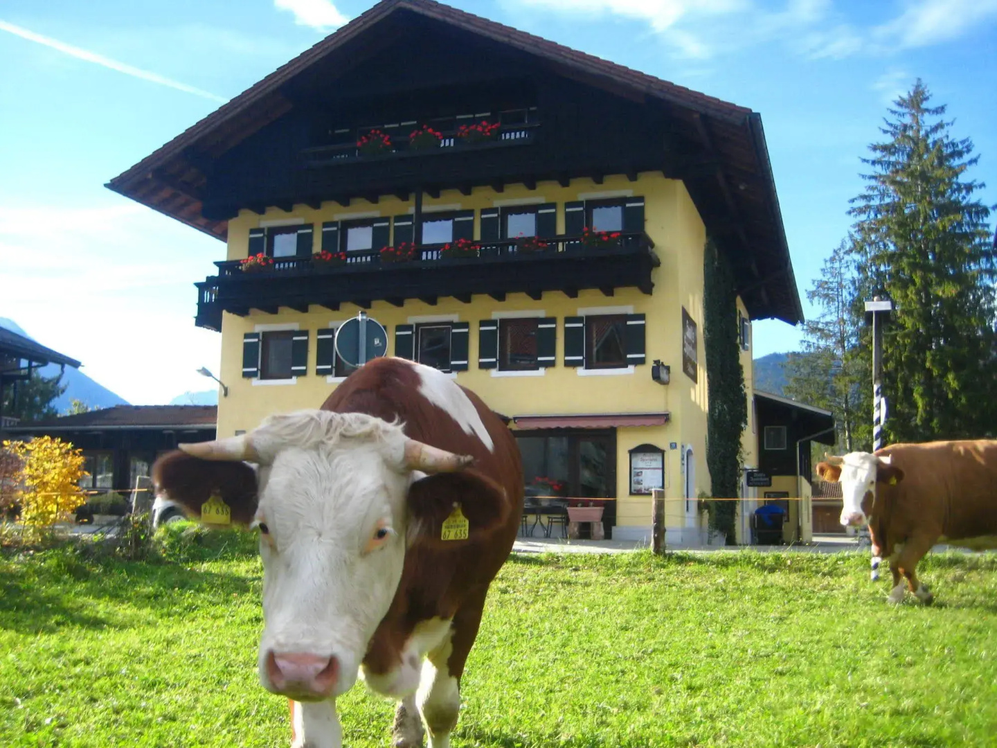 Foto - Sporthotel Schoenau am Koenigssee