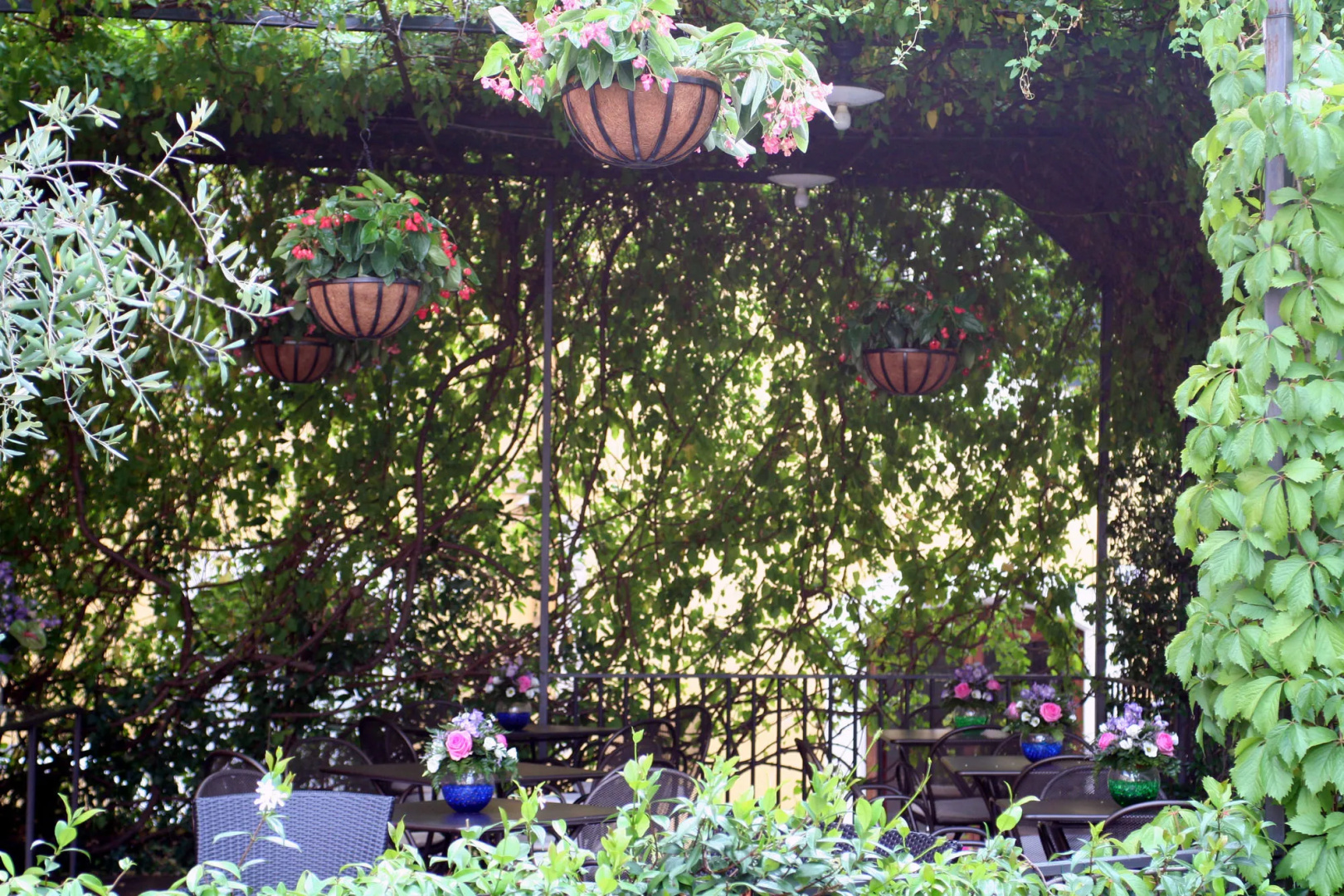 Foto - Hotel Charleston