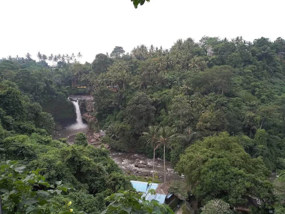 Photo - Sanga Suites