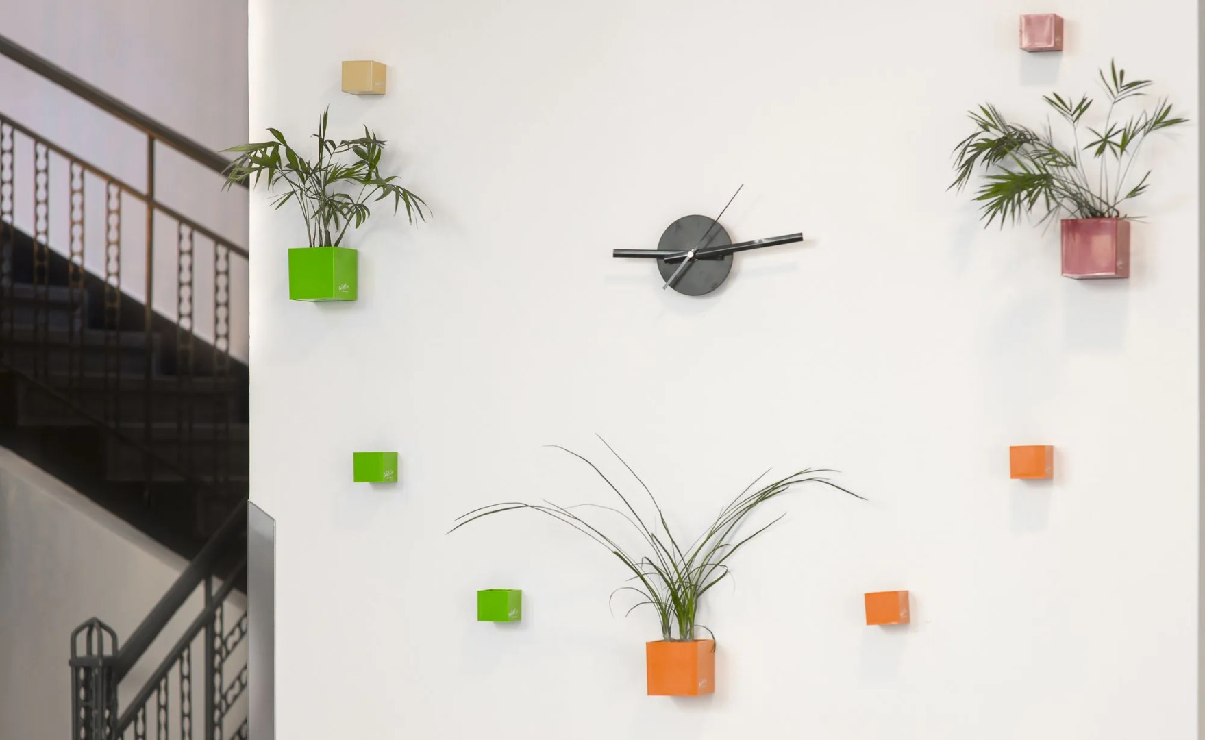 Foto - Hotel Garden Court