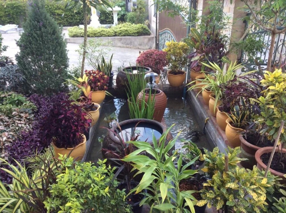 Foto - Laph Kham House