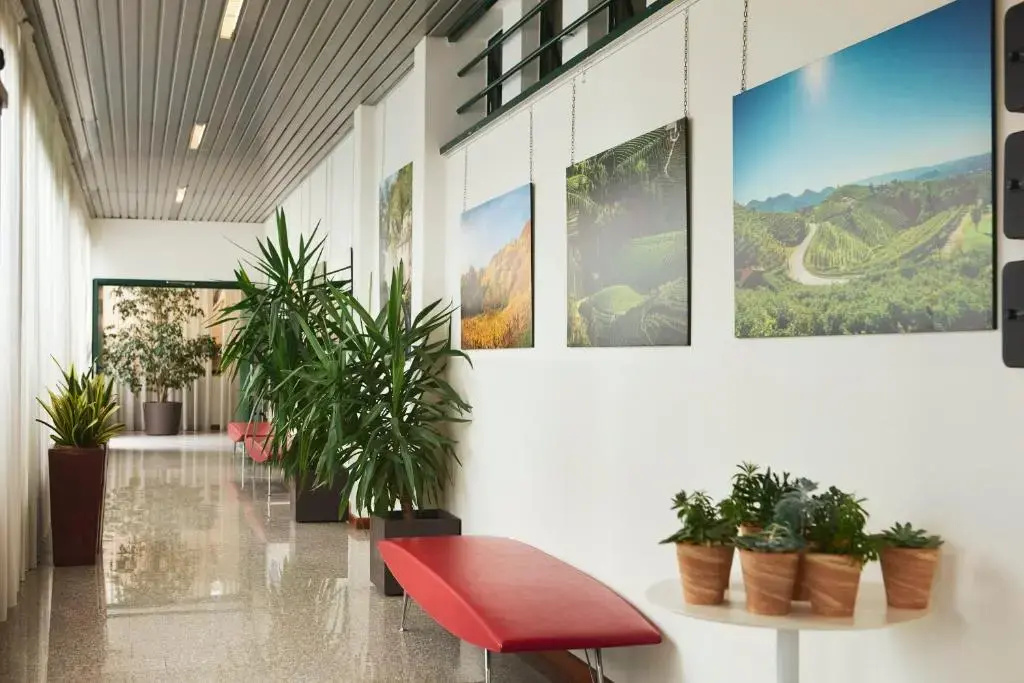 Foto - B&B Hotel Eurorest Conegliano