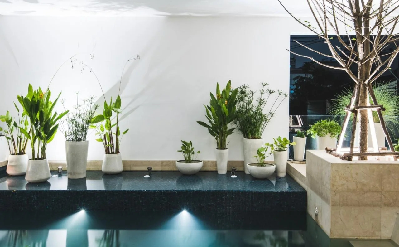 Foto - twothree a homely hotel - SHA Extra Plus