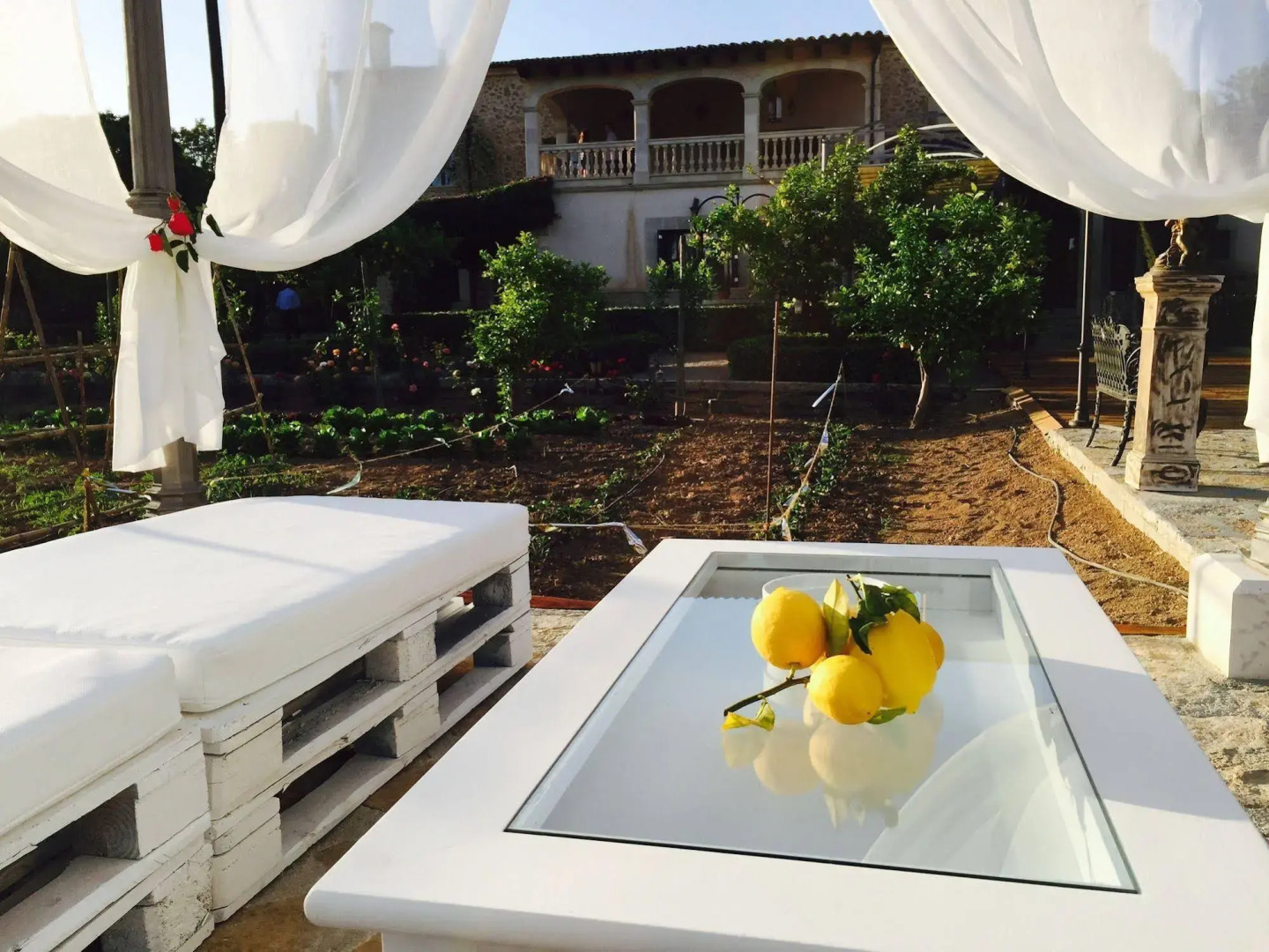 Photo - Agroturismo Sa Vinya des Convent