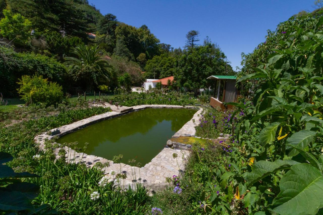 Photo - Quinta Das Murtas B&B