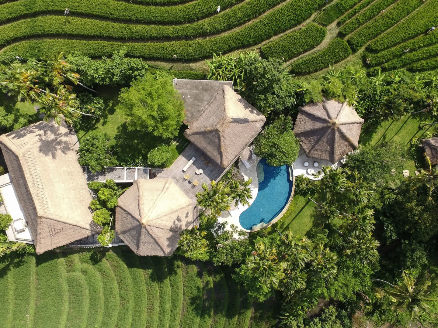 Foto - Planta Boutique Resort