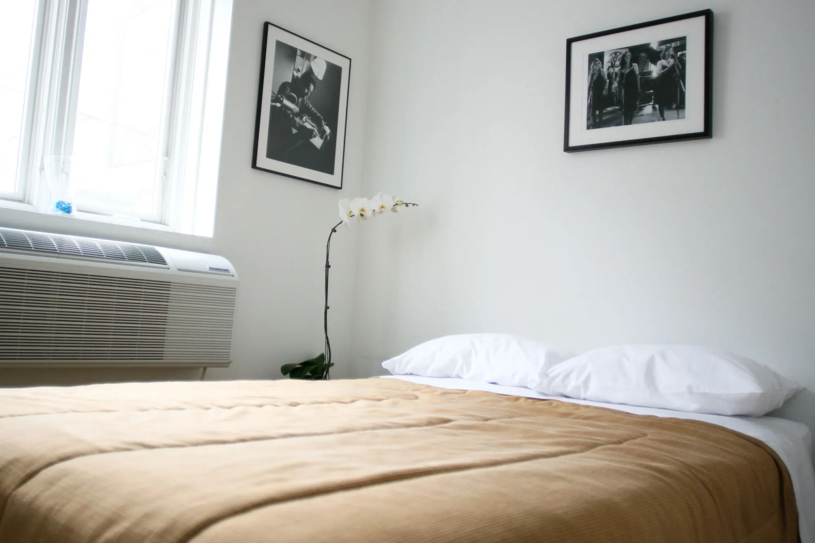 Foto - The Rex Hotel Jazz & Blues Bar