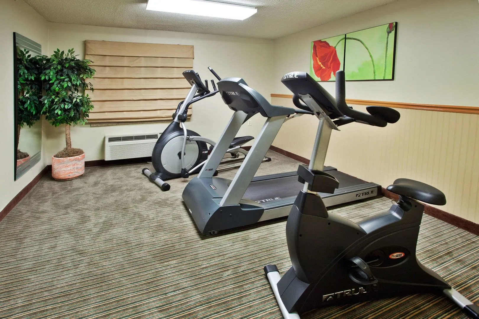 Foto - Spark by Hilton Savannah Midtown