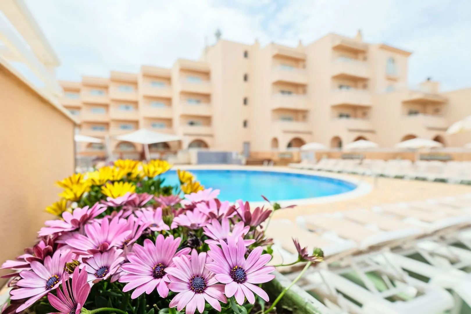 Foto - Rosamar Ibiza Hotel