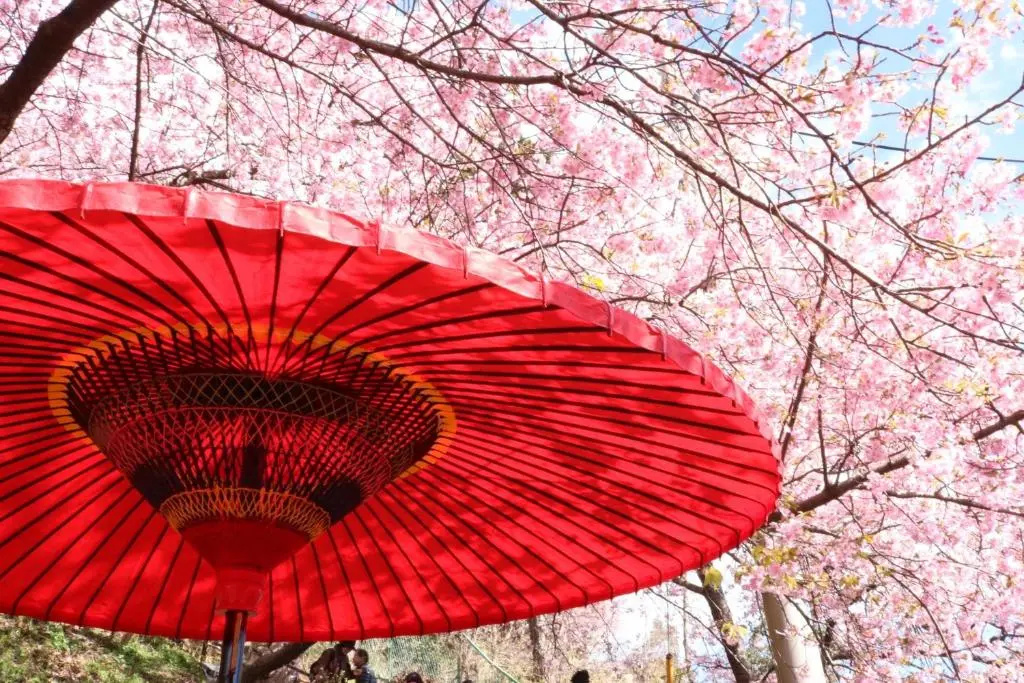 Foto - Stay SAKURA Kyoto Kiyomizu Ougi