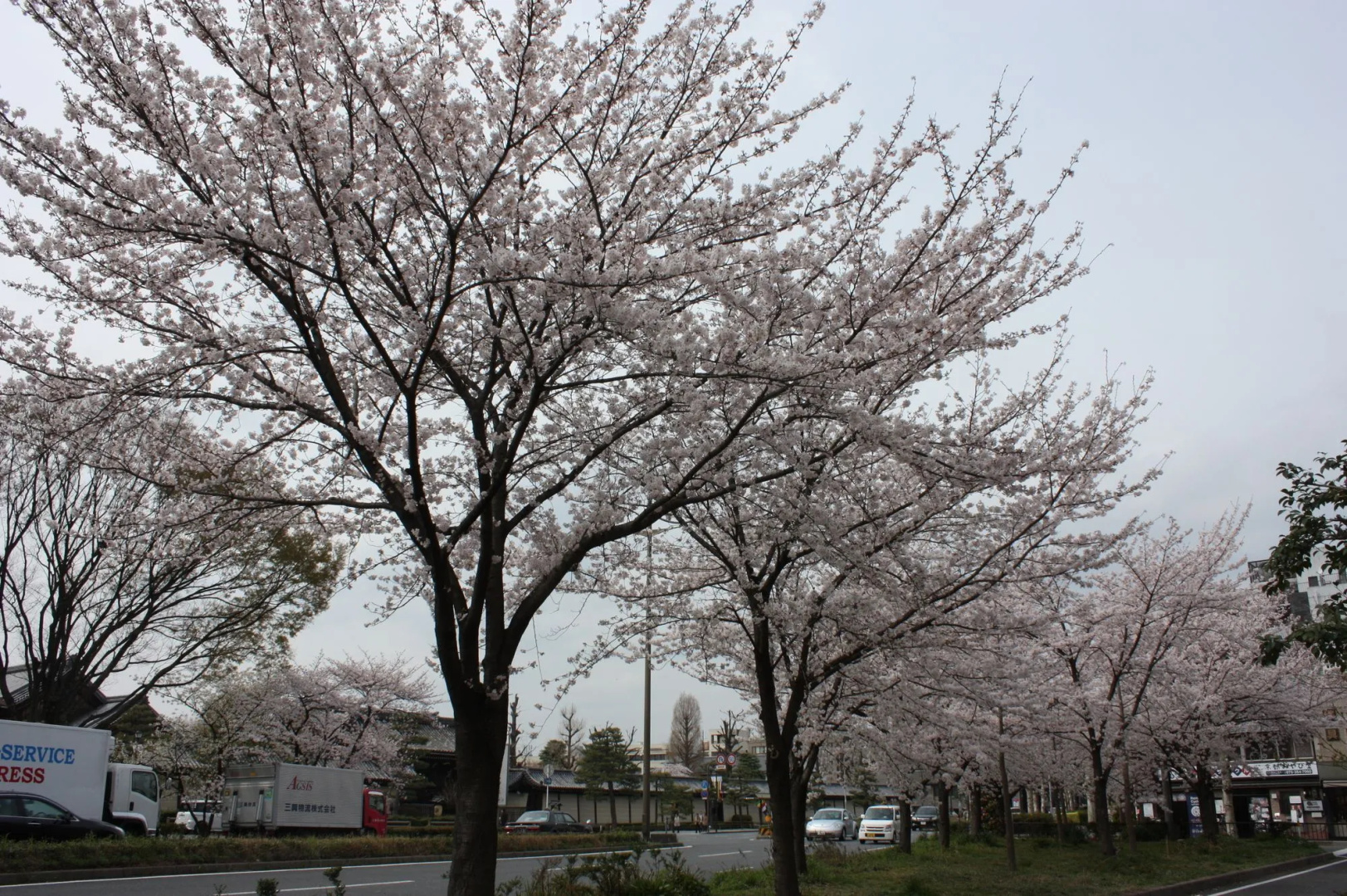 Photo - Yamadaya Ryokan
