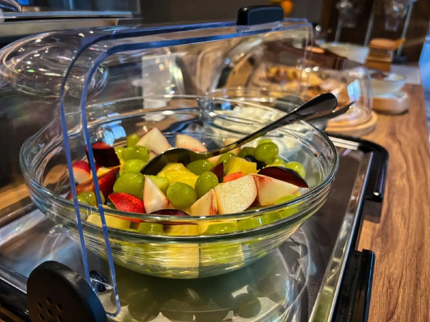 Foto - Wellnest Hotel