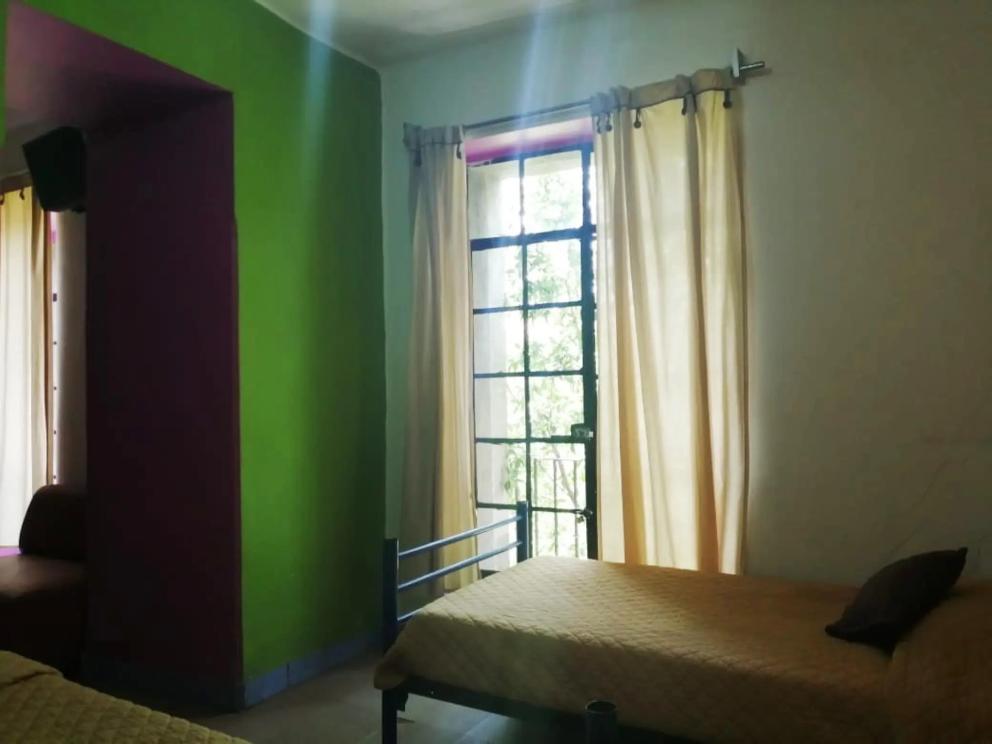 Photo - Hotel Amigo Suites