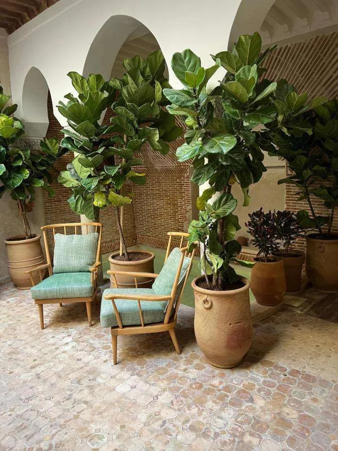 Photo - Riad Alena Marrakech