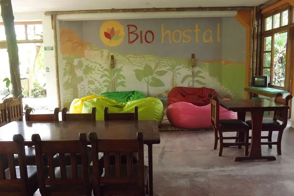 Photo - Biohostal Mindo Cloud Forest