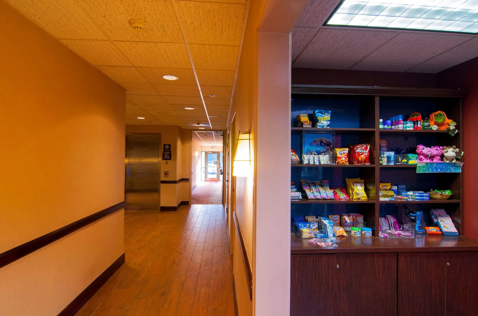 Photo - Hampton Inn & Suites Tampa-North