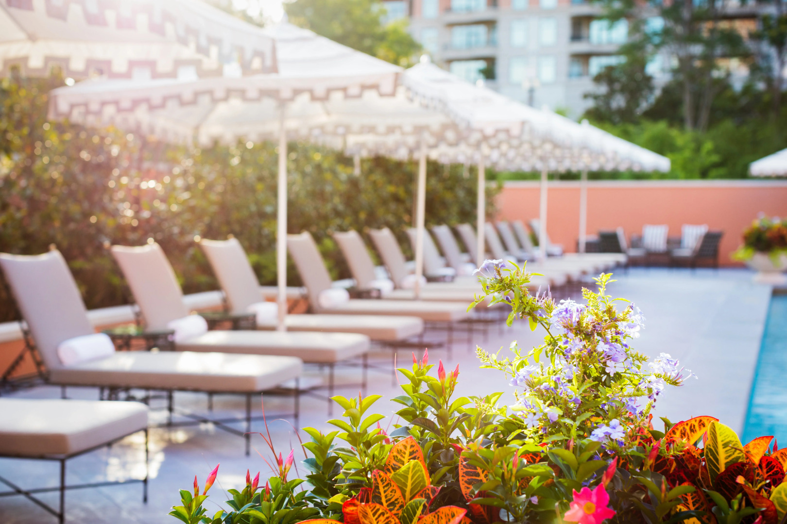 Foto - Rosewood Mansion on Turtle Creek