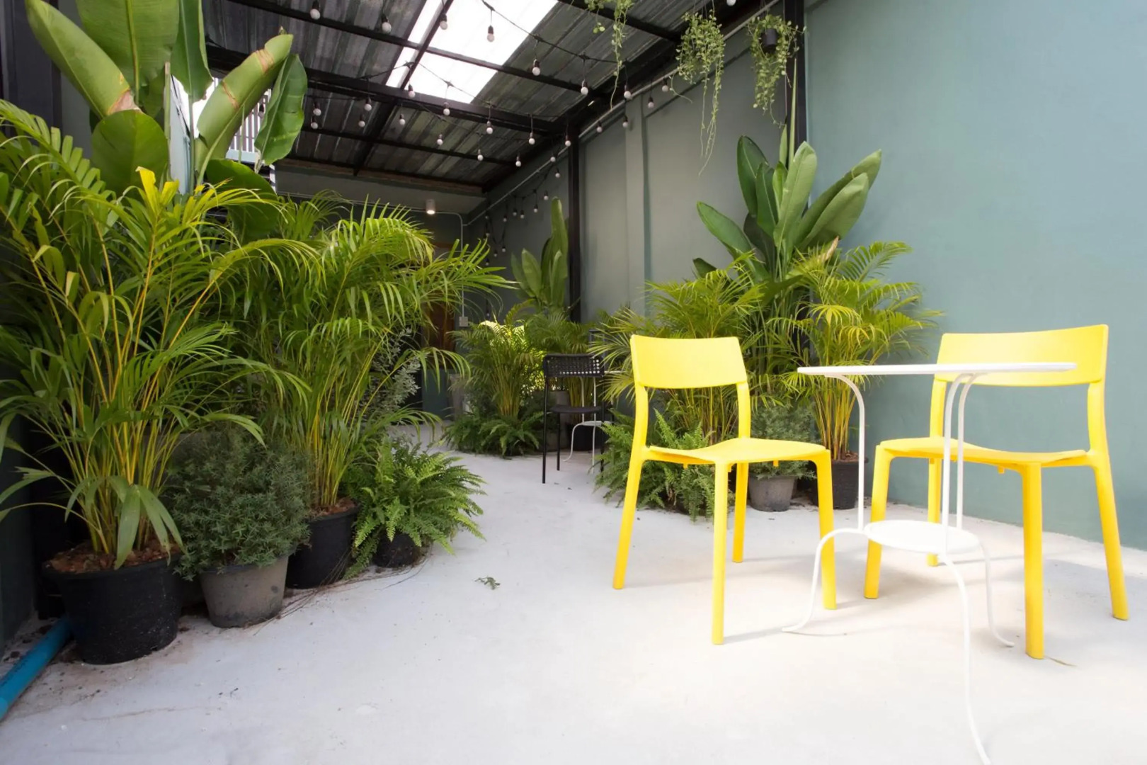 Foto - The Orientale