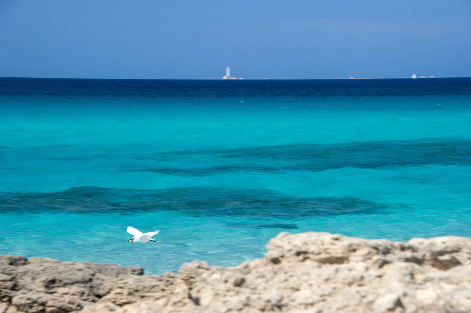 Foto - Joli Park Hotel - Caroli Hotels