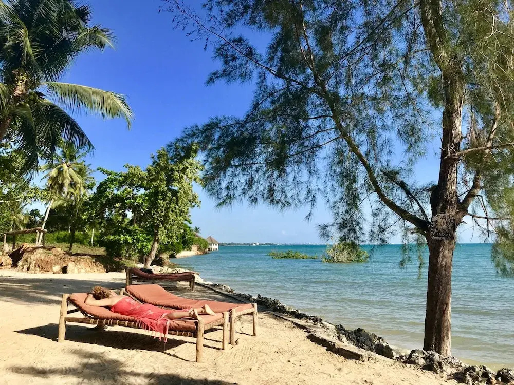 Foto - Mangrove Lodge