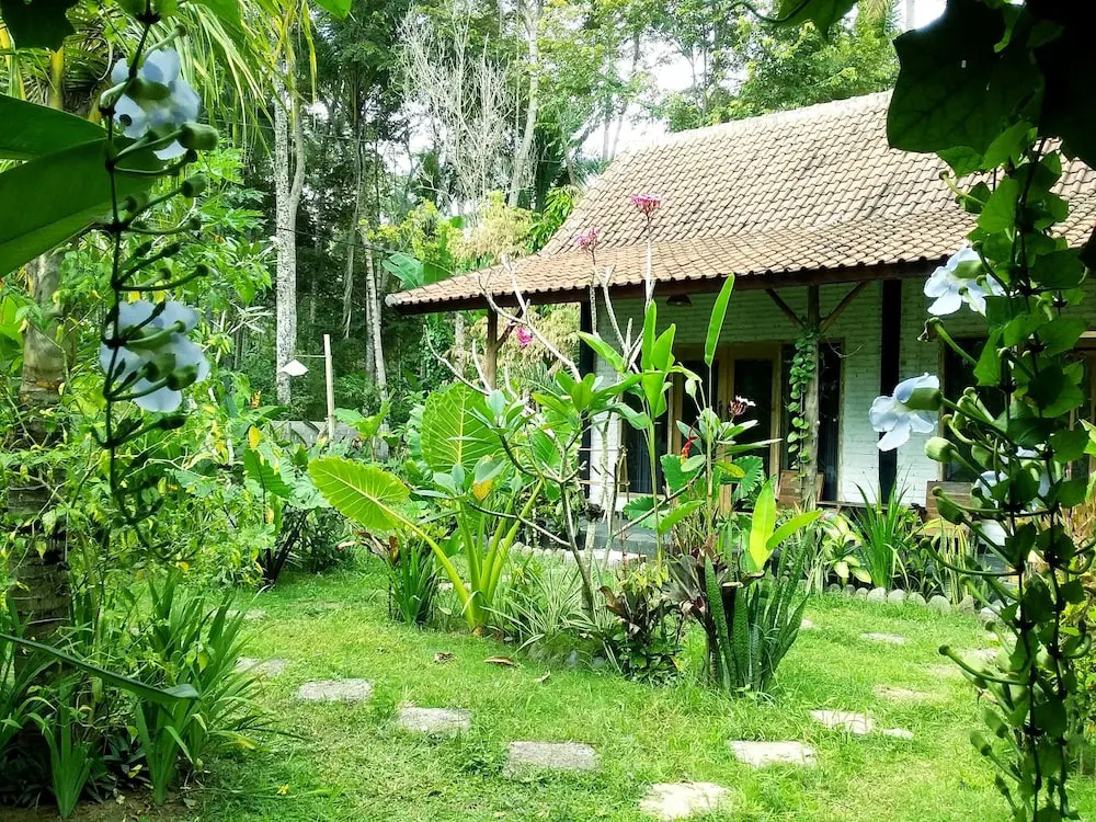 Photo - Jungle House - surf & stay