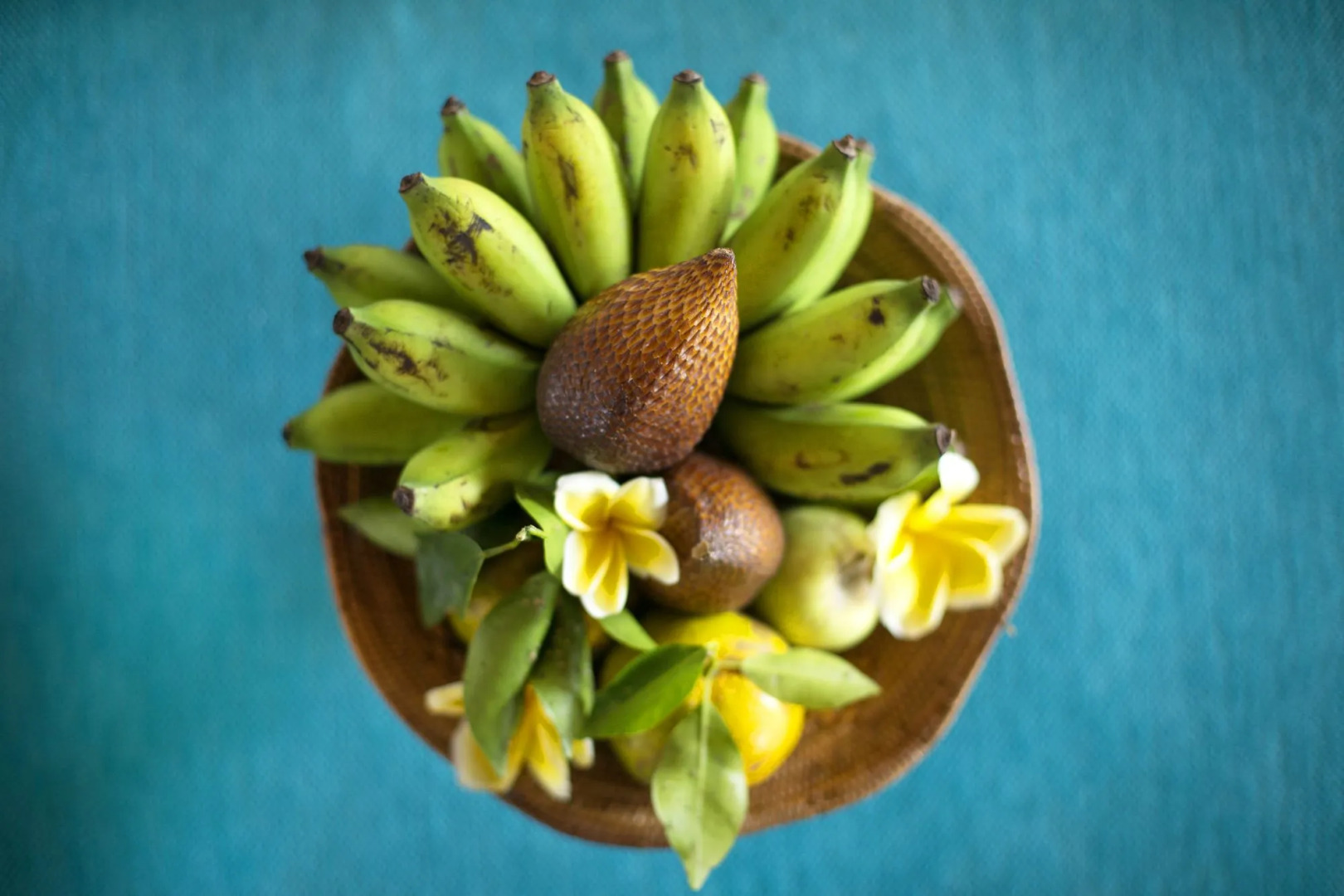 Foto - Korurua Dijiwa Ubud