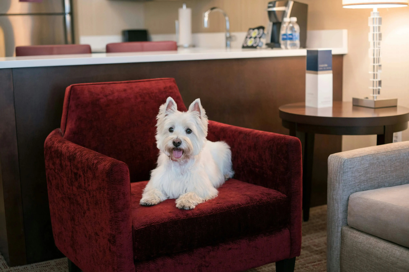 Foto - Residence Inn Chicago Downtown/Loop