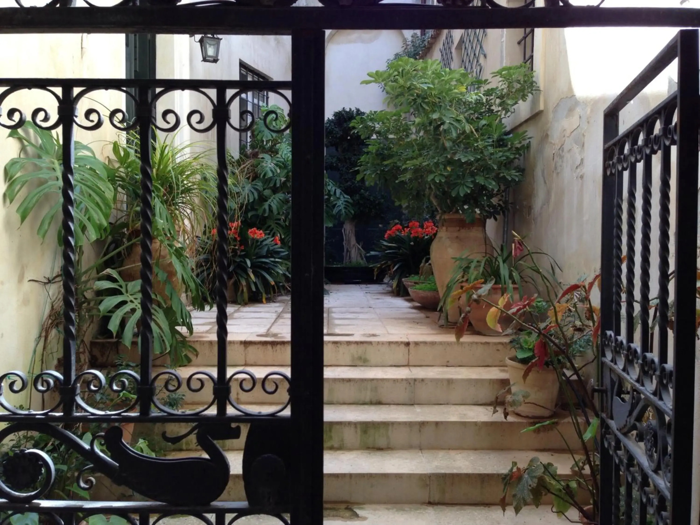 Foto - L'Orangerie di Cartia Giovanni